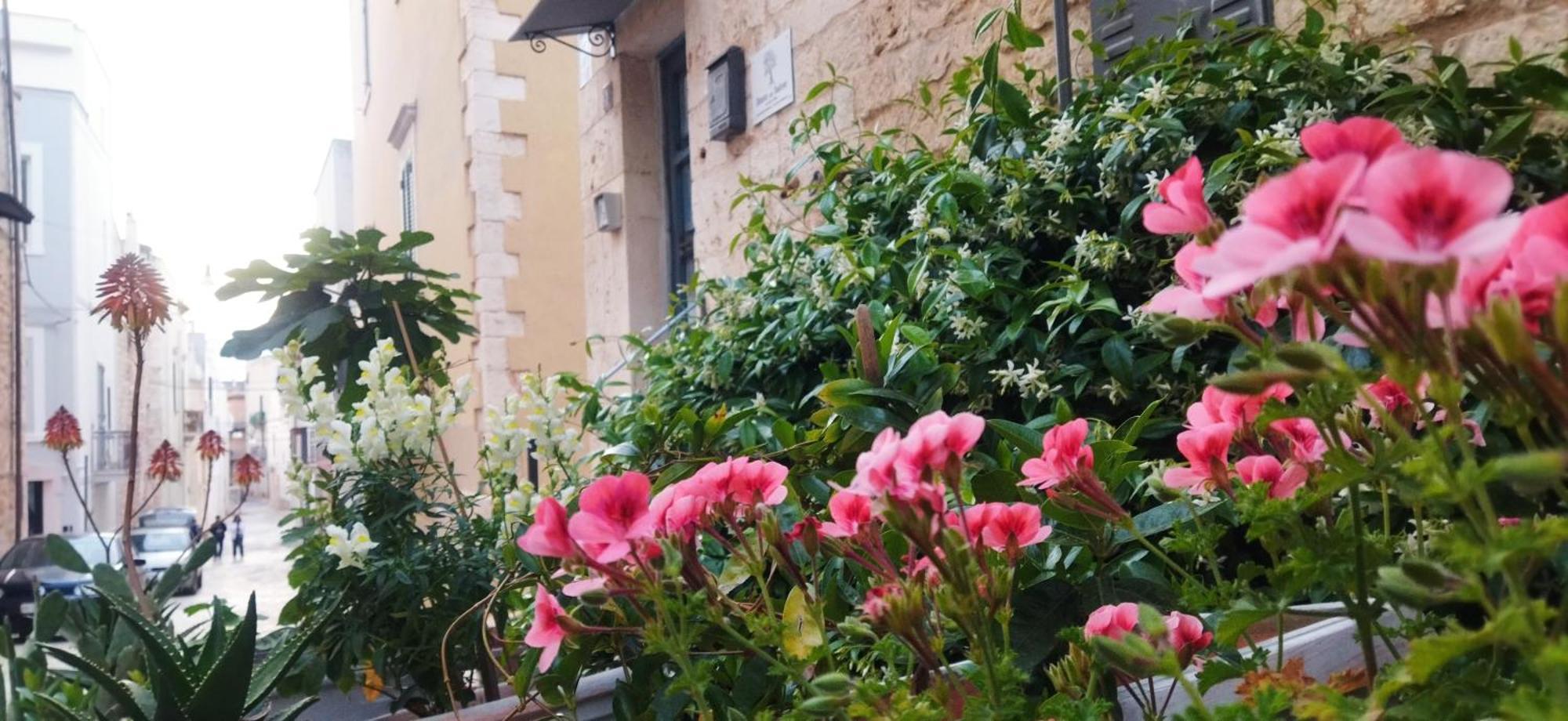 Dimora Delle Badesse Bed & Breakfast Conversano Dış mekan fotoğraf